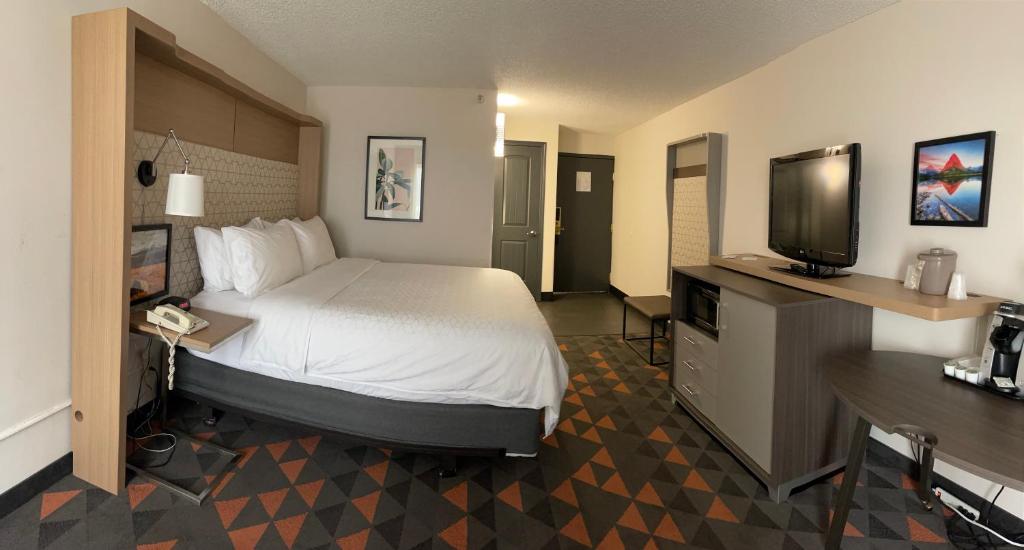 Holiday Inn Great Falls-Convention Center, an IHG Hotel - Standardraum