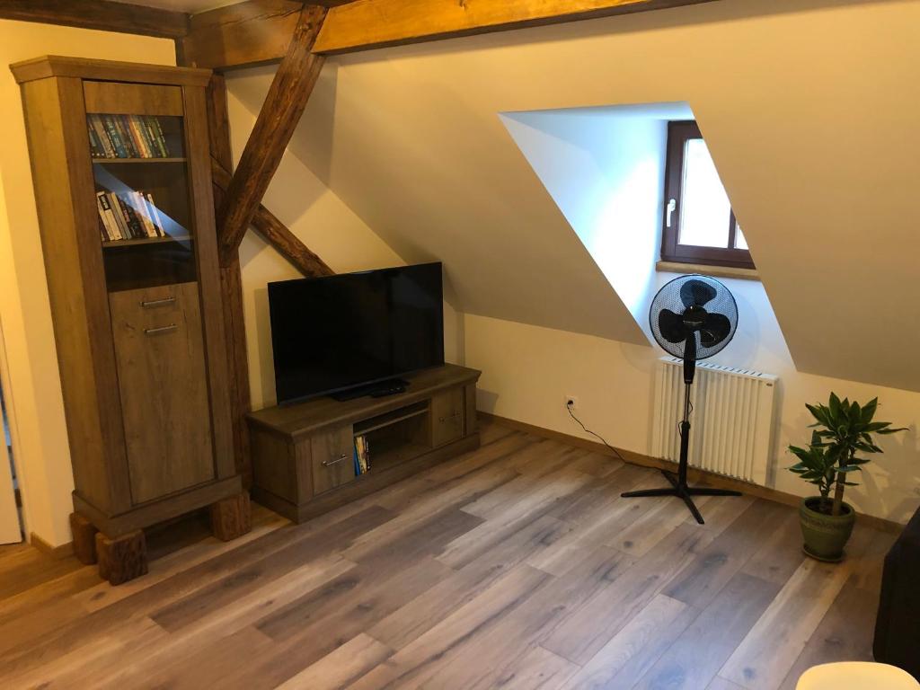 TV a/nebo společenská místnost v ubytování Egrensis Apartments