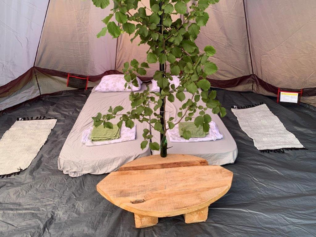 Zahrada ubytování Hillside Bio Glamping