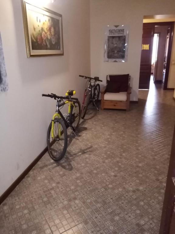Jízda na kole v ubytování Palazzo Aprile nebo okolí