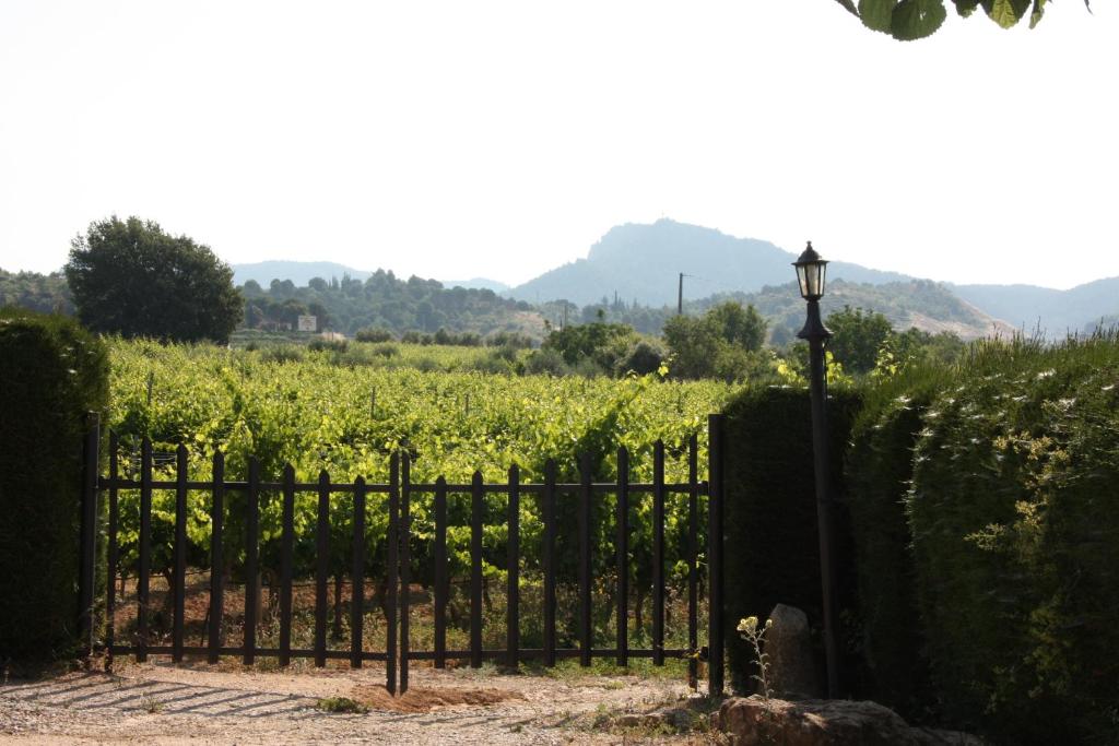 Fotografia z galérie ubytovania CASA RURAL Somnis del Montsant v destinácii Marçà