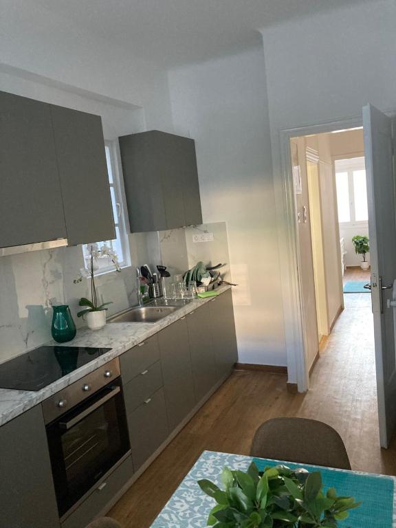 Kuchyňa alebo kuchynka v ubytovaní Great Apartment with Terrace in Central Athens