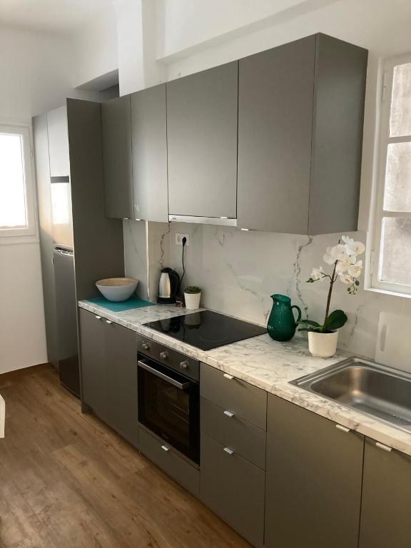 Kuchyňa alebo kuchynka v ubytovaní Great Apartment with Terrace in Central Athens