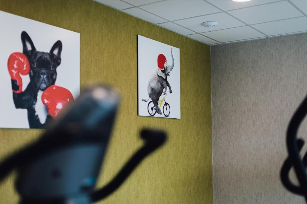 Fotografie z fotogalerie ubytování ibis Styles Contres-Cheverny v destinaci Le Controis En Sologne