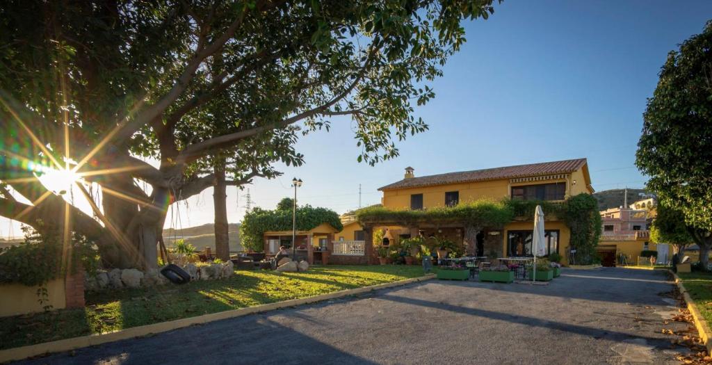 dom z drzewem przed ulicą w obiekcie Cortijo Amaya w mieście Torrox Costa
