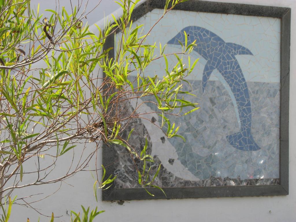 Fotografie z fotogalerie ubytování Casa del Sol PDC v destinaci Puerto del Carmen
