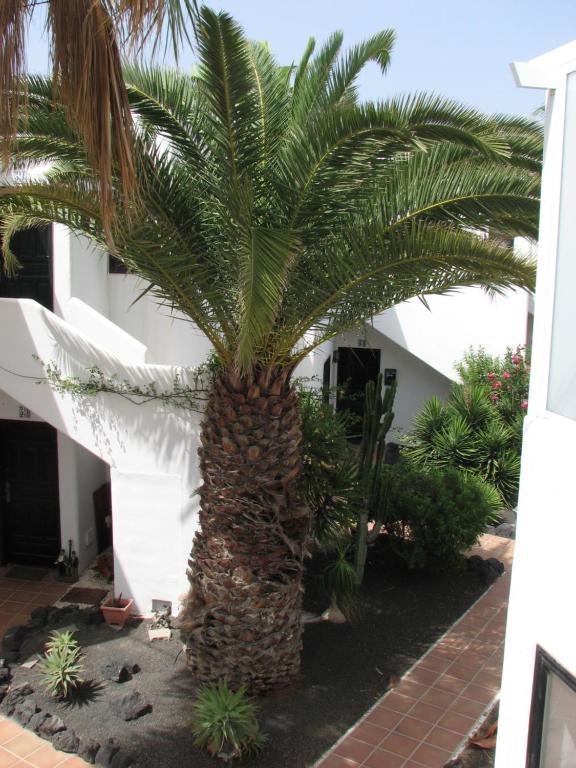Zahrada ubytování Casa del Sol PDC
