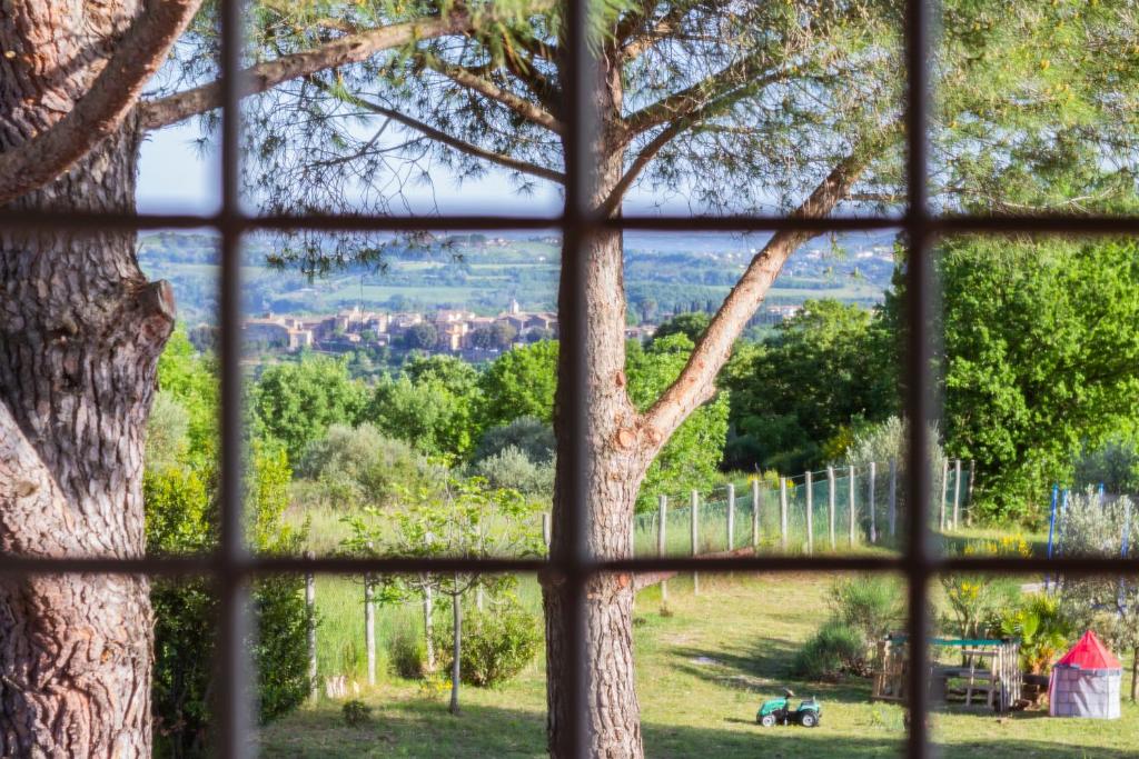 una finestra con vista su un albero di Casale Le Brecce b&b a Otricoli