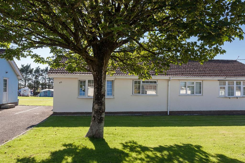 drzewo w trawie przed domem w obiekcie 46 Gower Holiday Village w mieście Swansea