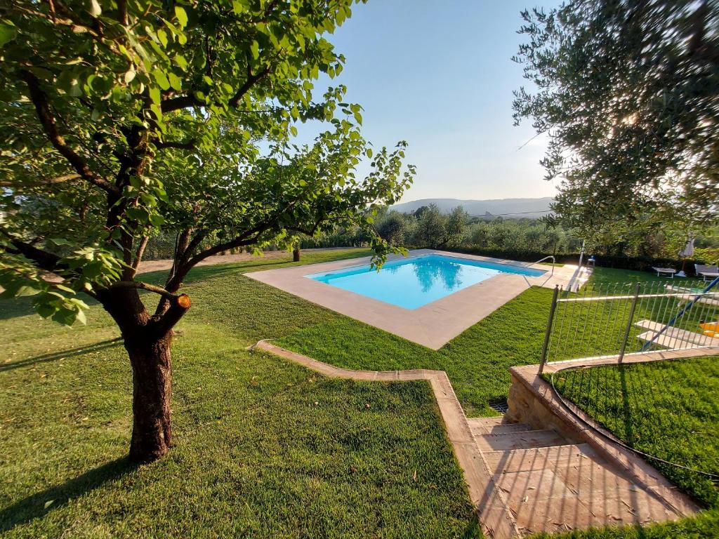 una piscina in un cortile con un albero di Casa "IL BRIO" a Pistoia