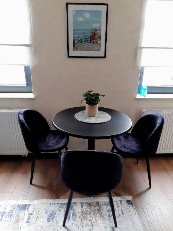 Apartament w Centrum - Appartement Met één Slaapkamer