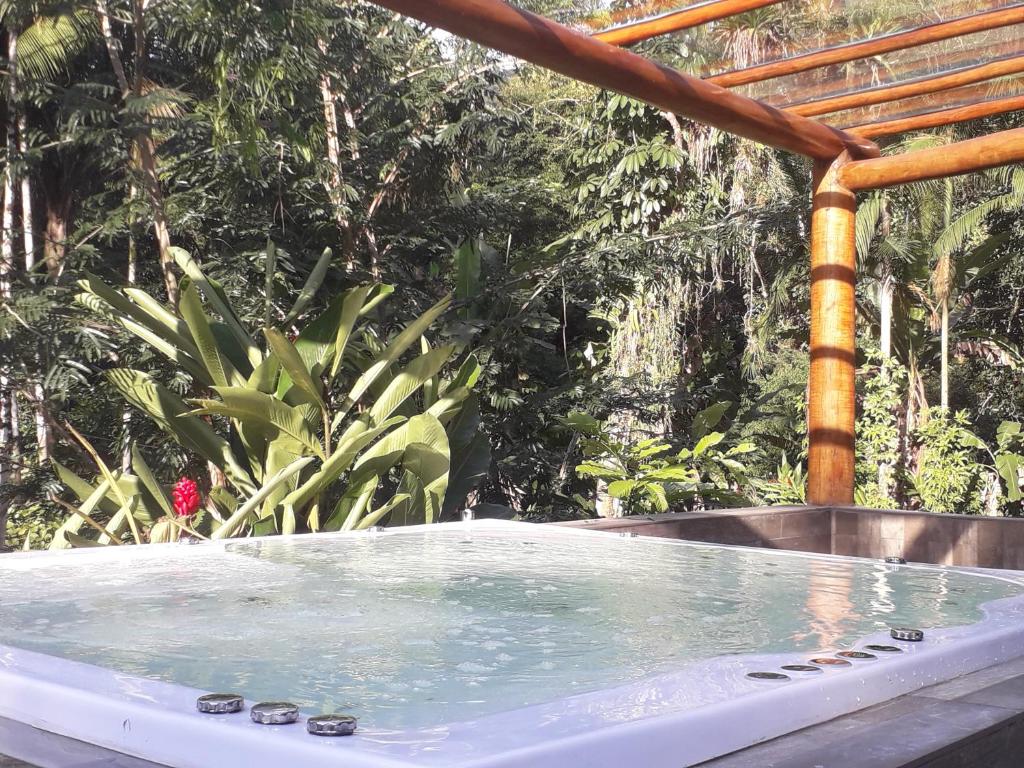 uma banheira de hidromassagem no meio de um jardim em Casa Linda - Piscina Ampla - Jacuzzi - Imenso Jardim em São Sebastião
