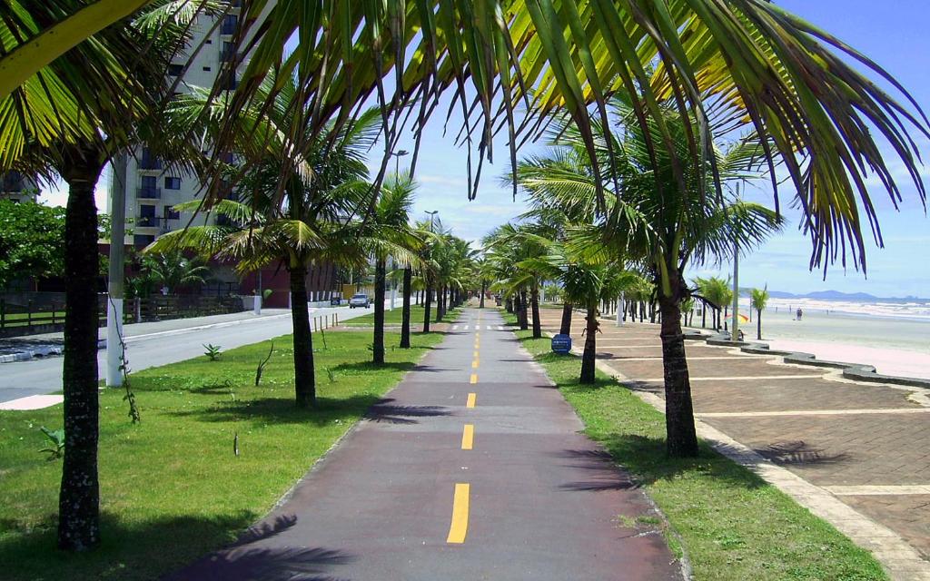 a palm tree lined sidewalk next to the beach at Canto do Forte in Praia Grande