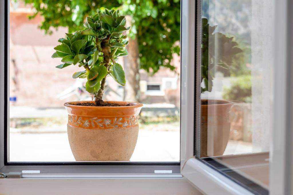 Apartments Željka-Dobrota - 2