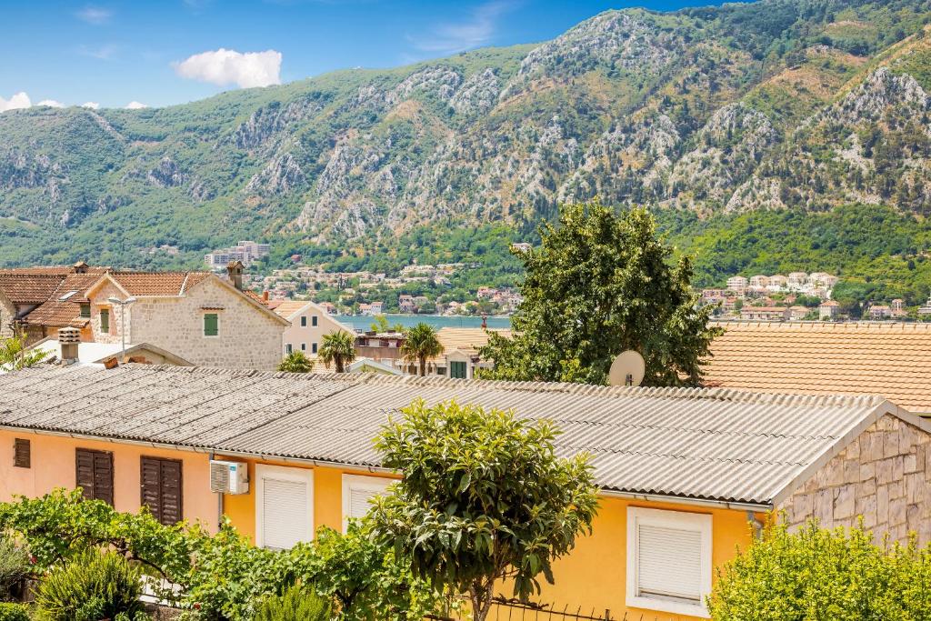 Apartments Željka-Dobrota - 10