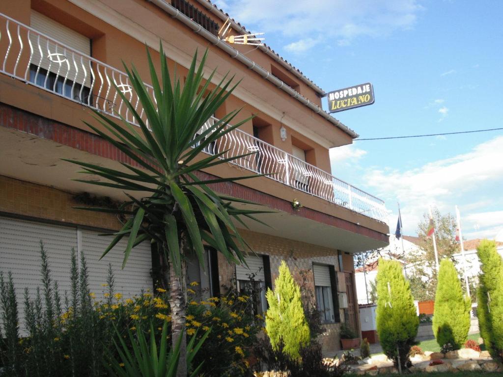 a palm tree in front of a hotel at Hospedaje Luciano in Suances