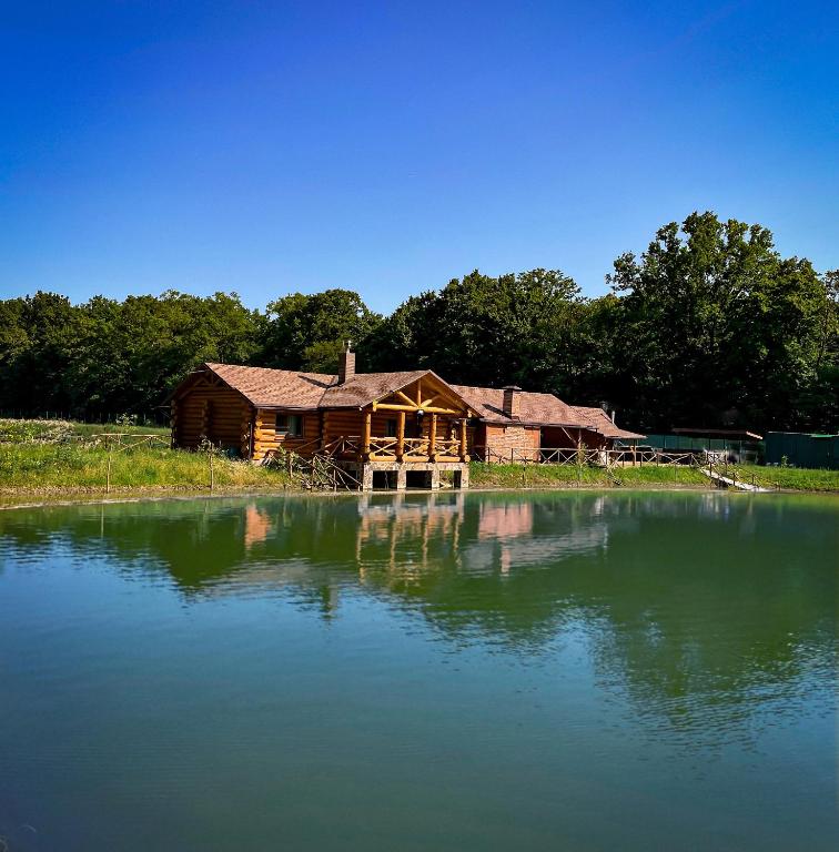 a log cabin sitting on the side of a lake at Ray Eco Resort in Mukacheve