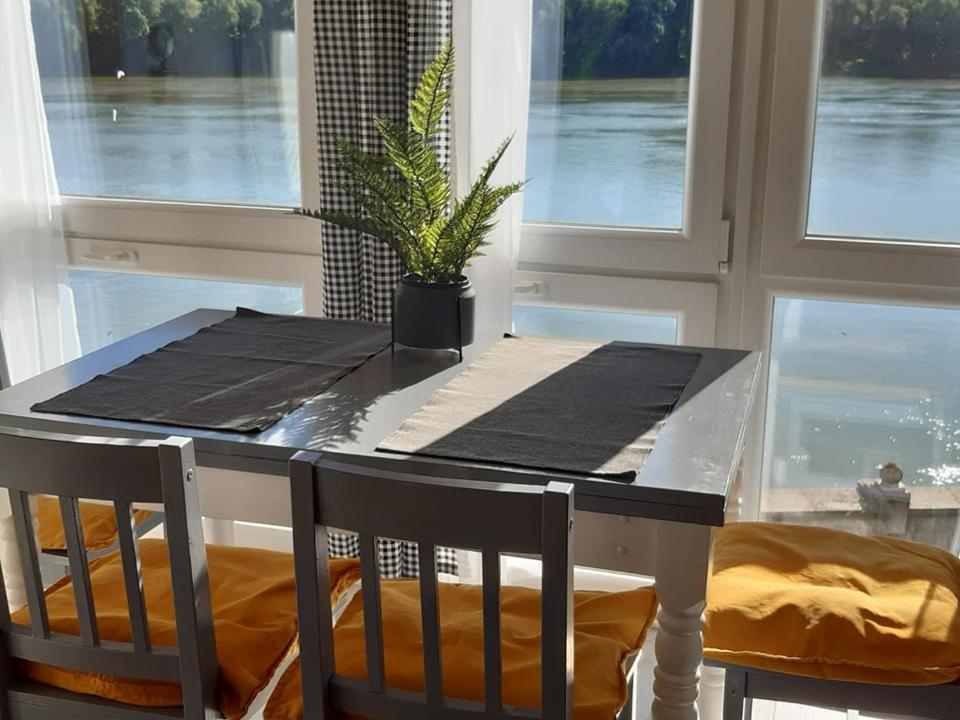 a dining room table with a potted plant on it at Duna Kuckó in Mohács