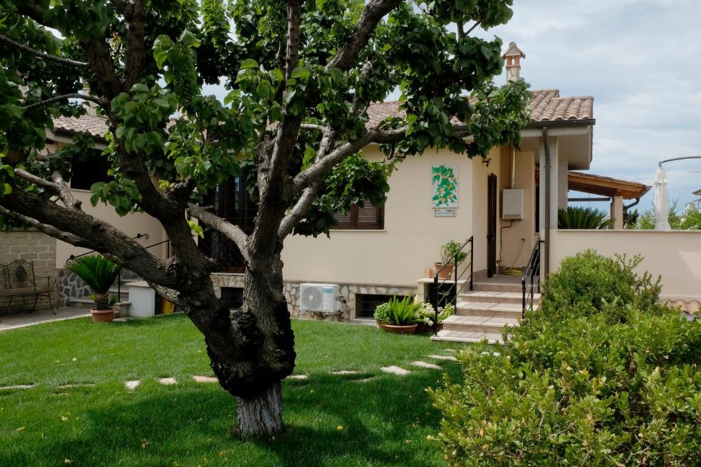 una casa con un albero nel cortile di L'Albicocco a Ladispoli