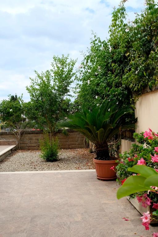 Giardino di L'Albicocco