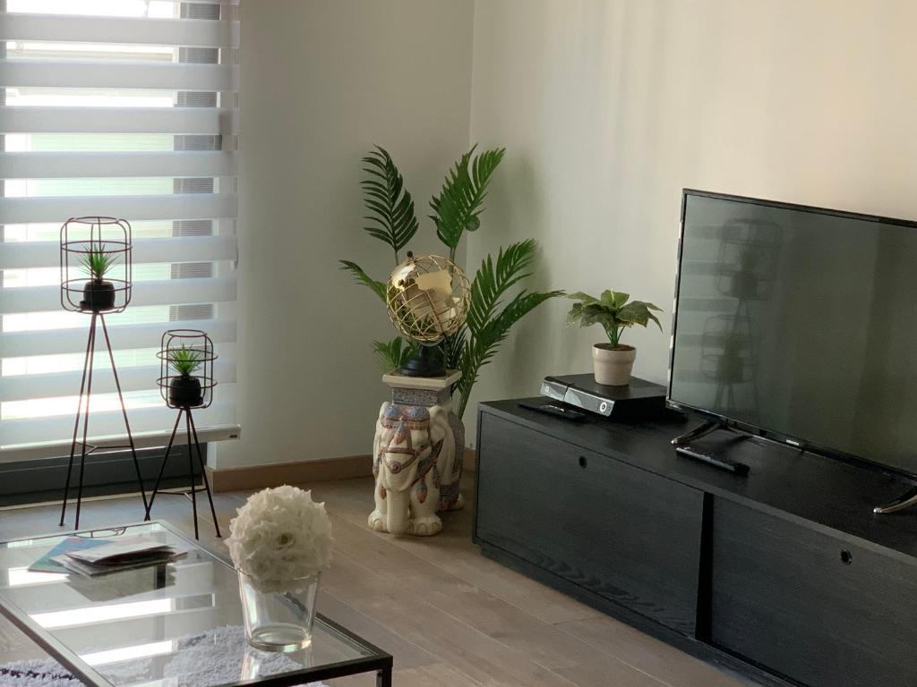 TV o dispositivi per l'intrattenimento presso BnB Antwerp Centrum