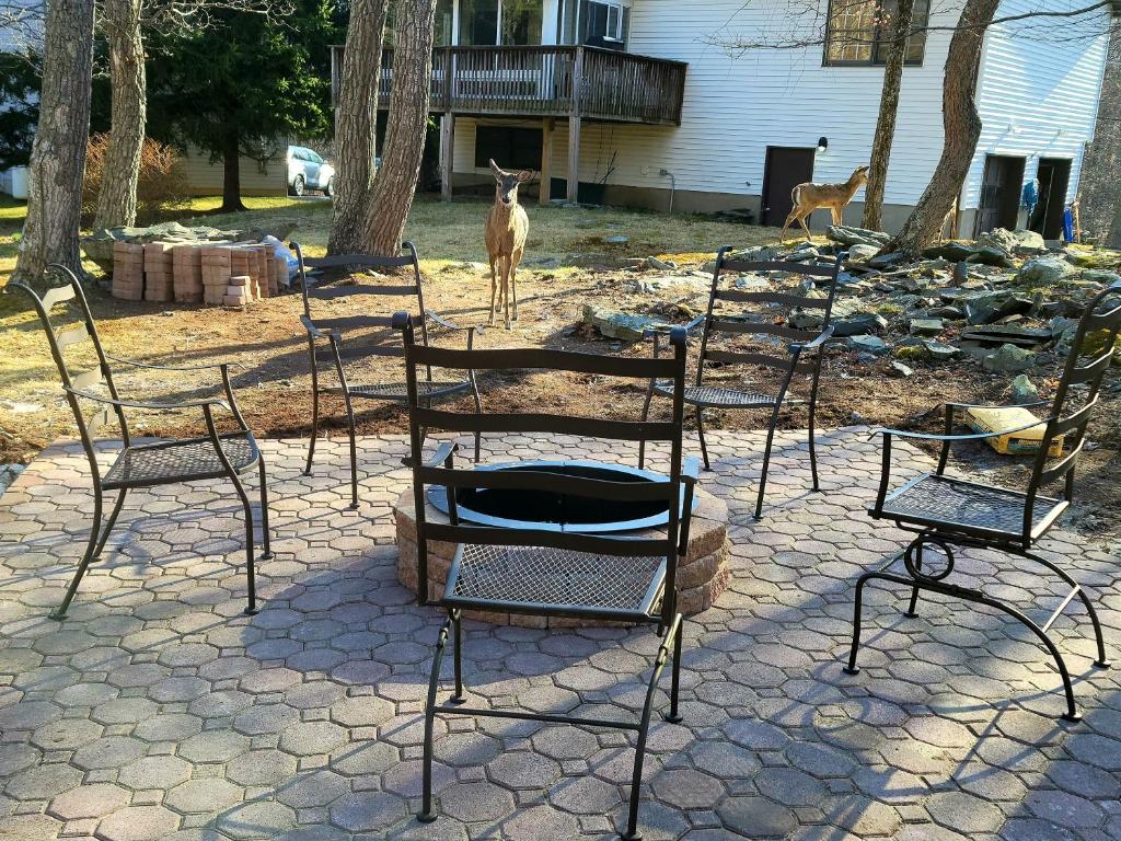 The Pocono's Retreat with a Gameroom, Firepit, and Lake - Maison De Trois Chambres
