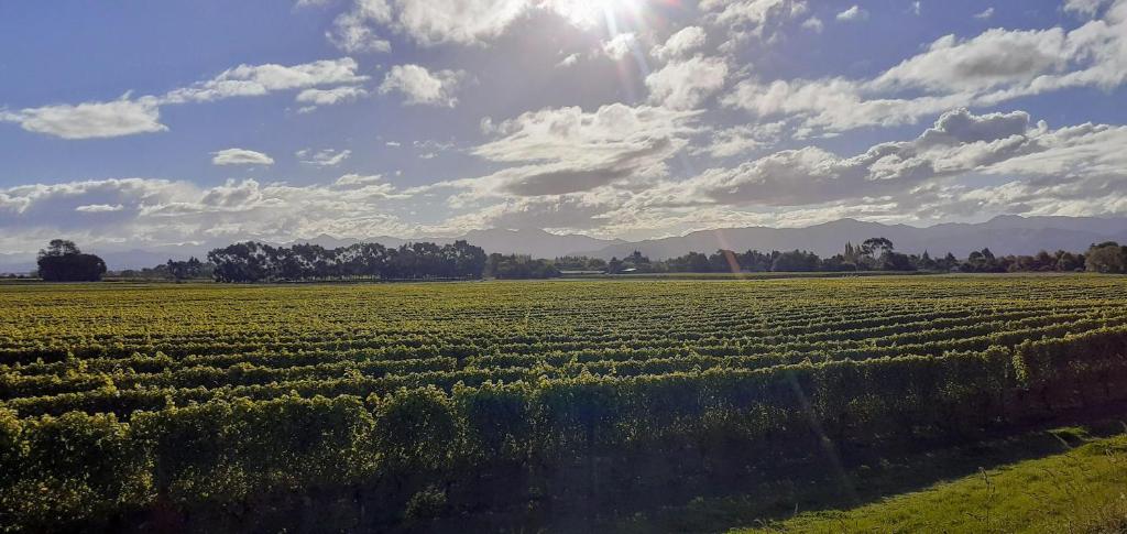 Te Waiharakeke Holiday Home - Resim 27