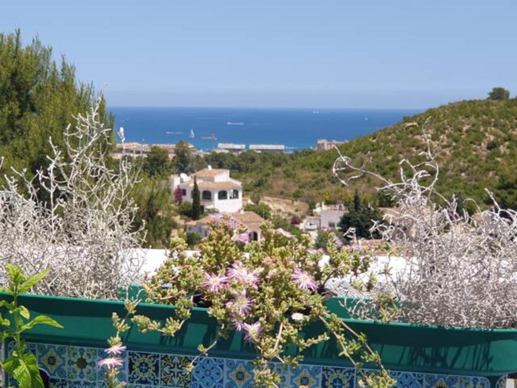 Táj Show holiday homes közelében