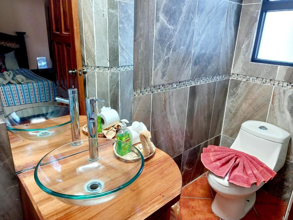 Hotel Casa Sofia photo