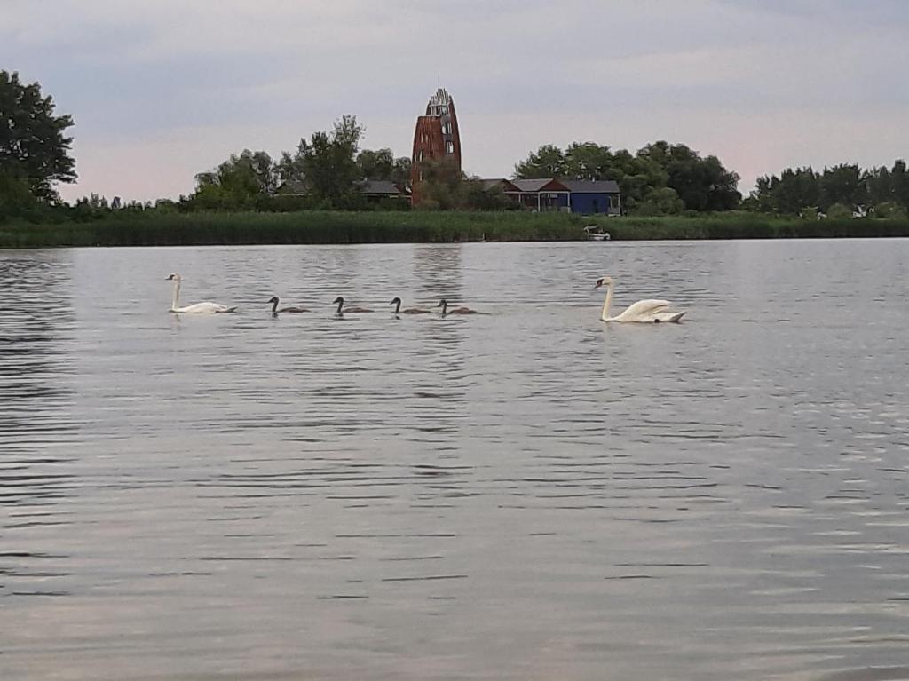 Výhled na řeku, která protéká v blízkosti penzionu