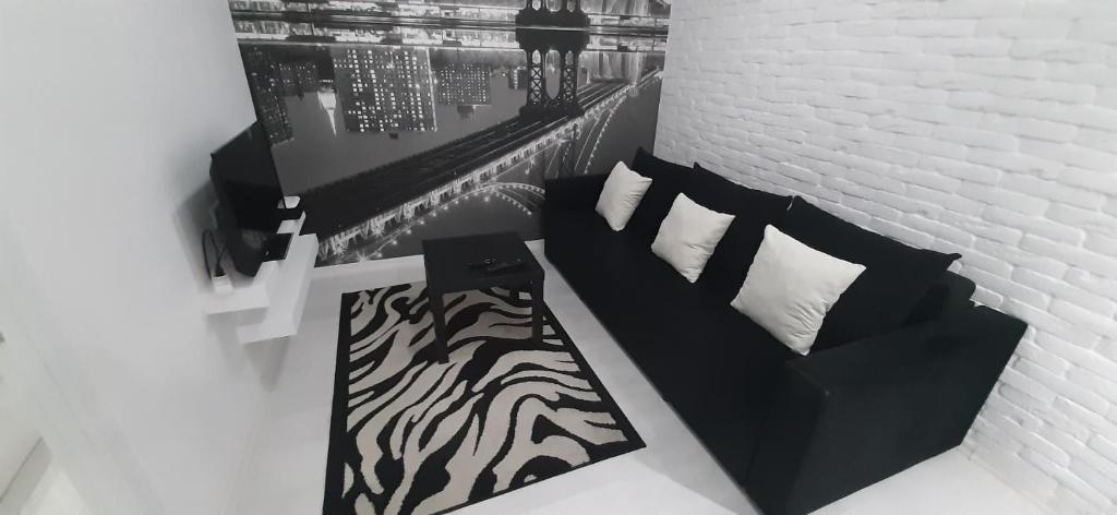 Oleskelutila majoituspaikassa TESTEMITEANU APARTMENT