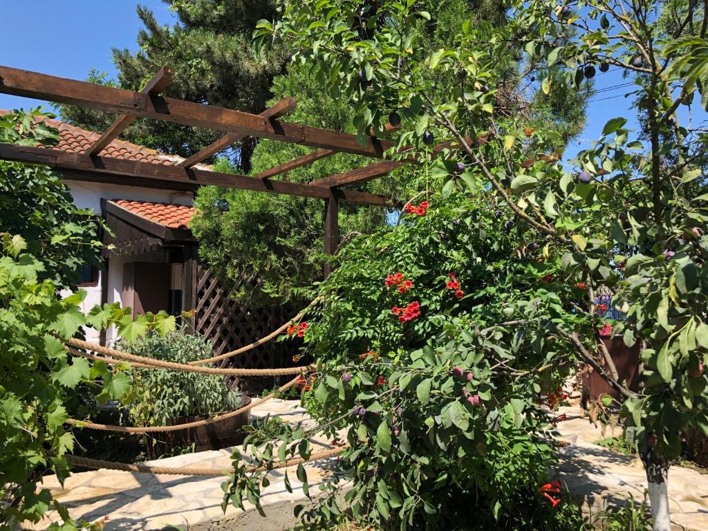 un jardín con pérgola de madera y algunas flores en Grauri si Smochini, en Vadu