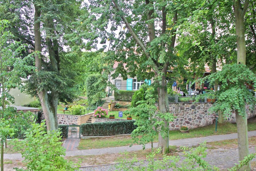 um parque com uma parede de pedra e um banco e árvores em Ferienwohnung Lychen UCK 1021 em Lychen