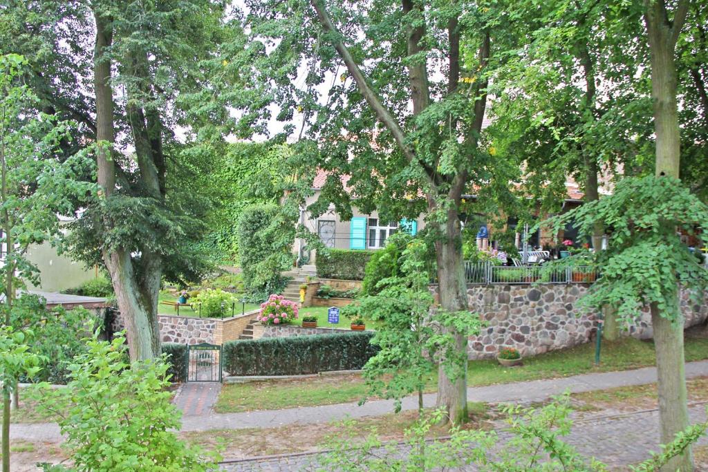 リヘンにあるFerienwohnung Lychen UCK 1021の石壁とベンチと木々のある公園