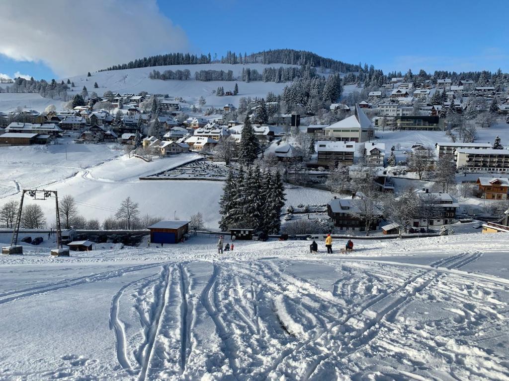 Haus am Sonnenberg,Todtnauberg, Ferienwohnung 002, direkt am Skilift-Skipiste, Nähe Feldberg v zimě