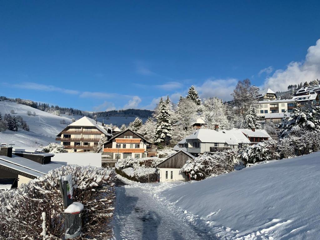 Haus am Sonnenberg,Todtnauberg, Ferienwohnung 002, direkt am Skilift-Skipiste, Nähe Feldberg v zimě