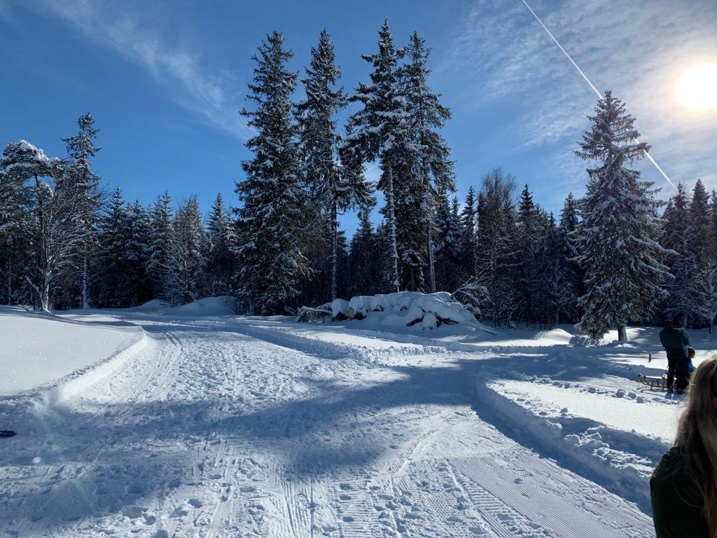 Haus am Sonnenberg,Todtnauberg, Ferienwohnung 002, direkt am Skilift-Skipiste, Nähe Feldberg v zimě