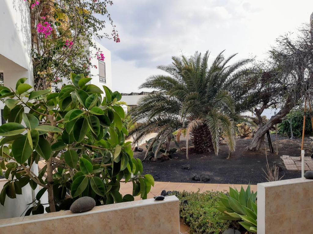 Zahrada ubytování Casa del Sol PDC