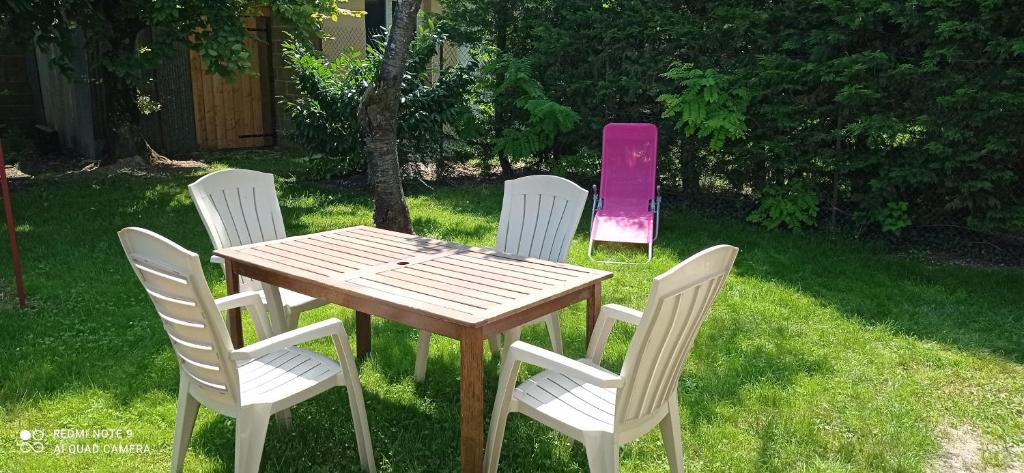 a wooden table with four chairs and a pink object at Au soleil du Der in Joncreuil