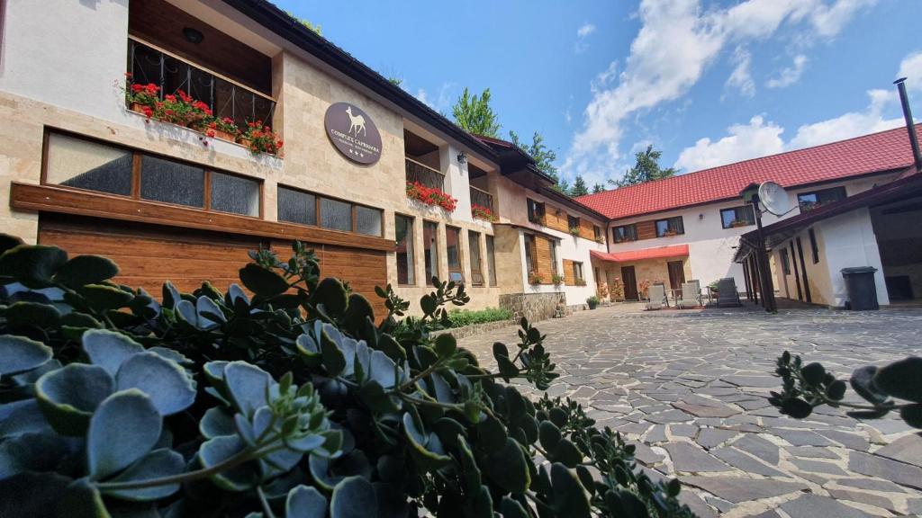 een rij gebouwen met planten ervoor bij Complex Turistic Caprioara in Baia Mare