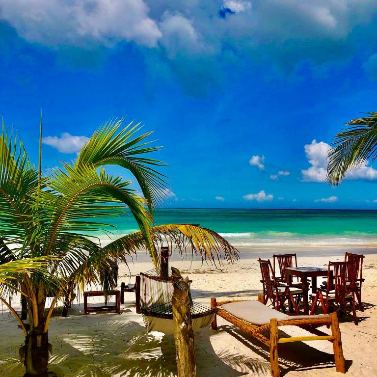Panzió Simba Beach Zanzibar (Tanzánia Kiwengwa) - Booking.com