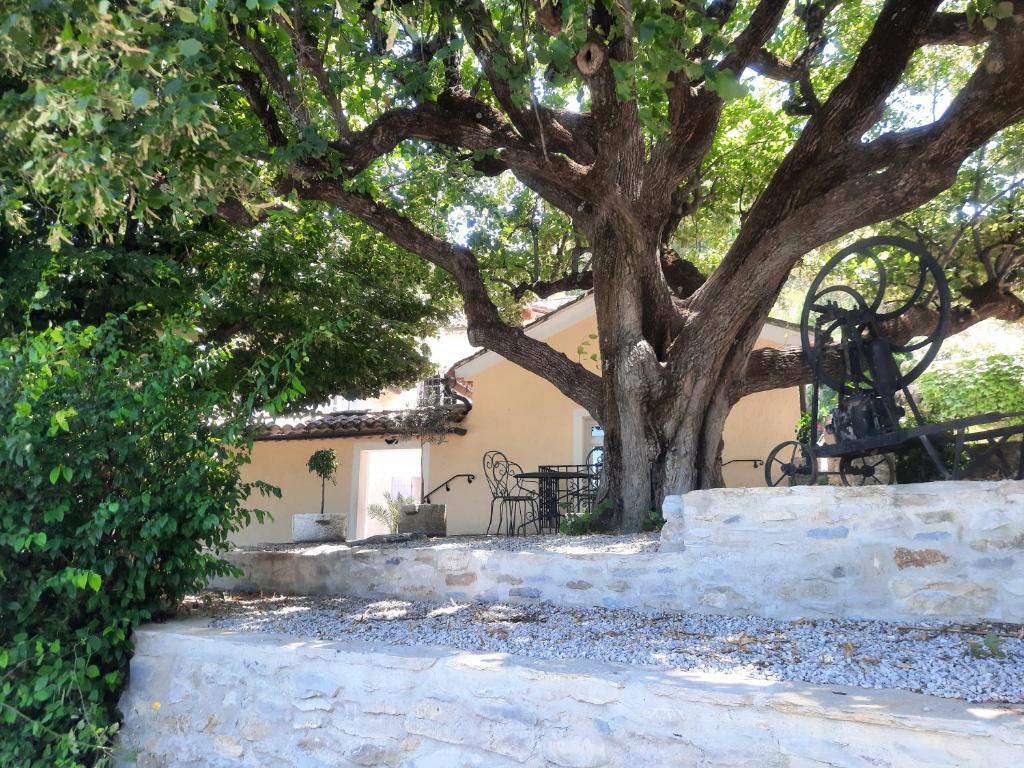 ein Baum vor einem Haus mit einer Steinmauer in der Unterkunft Le gîte Calluna in Sablet