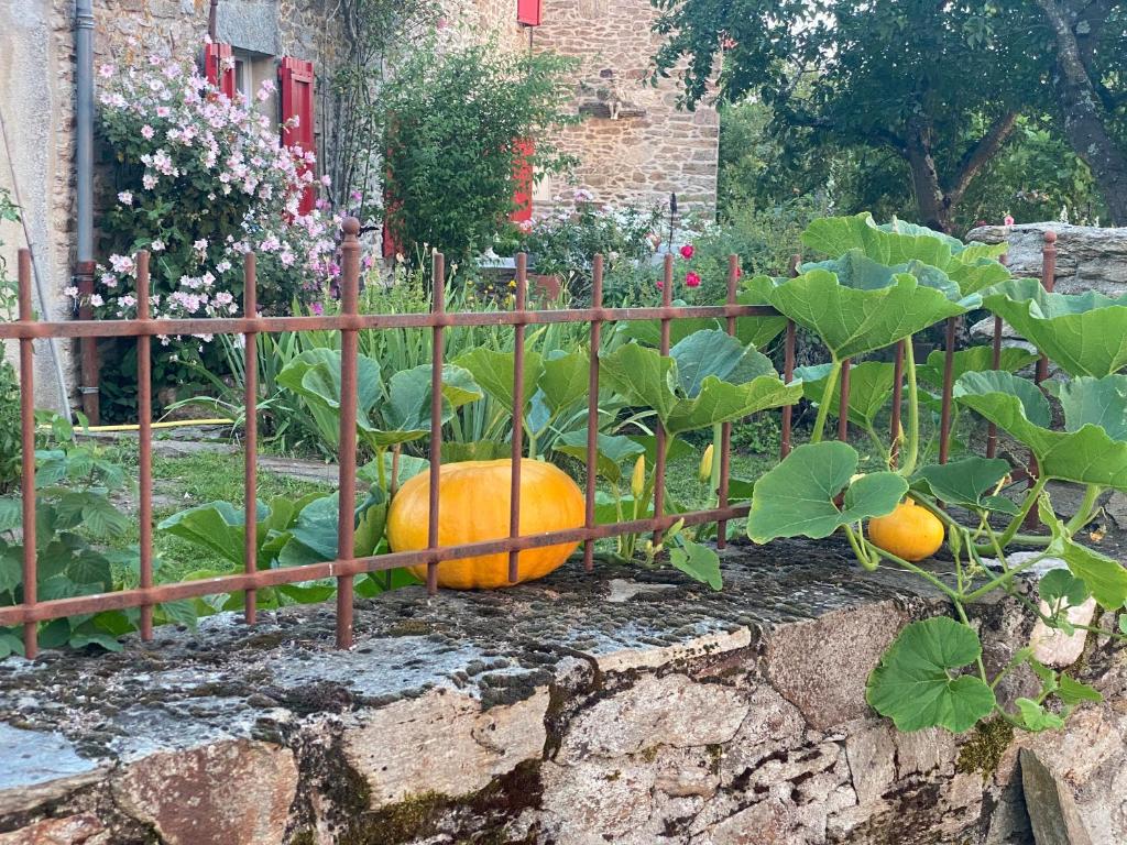 Zahrada ubytování Le couvent de Jouels