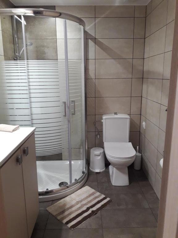 a bathroom with a toilet and a glass shower at Plakoures Home in Kounoupidhianá