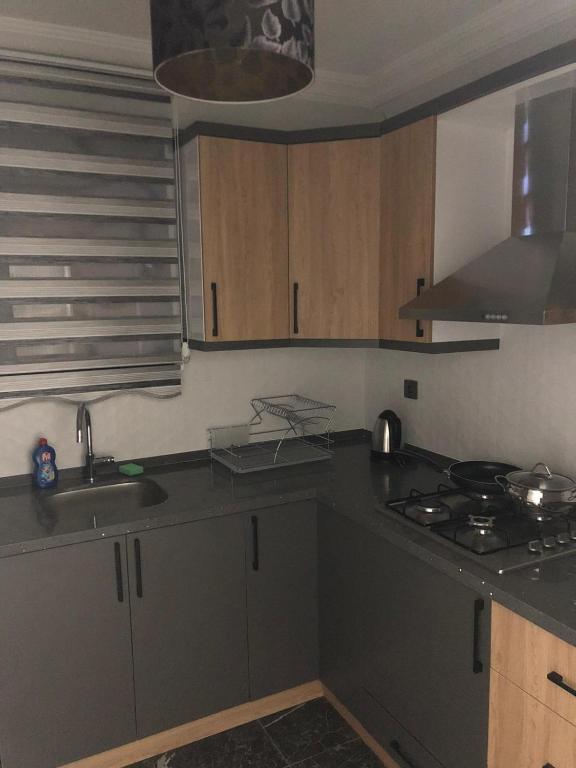 Kuchyň nebo kuchyňský kout v ubytování Sofya Suites