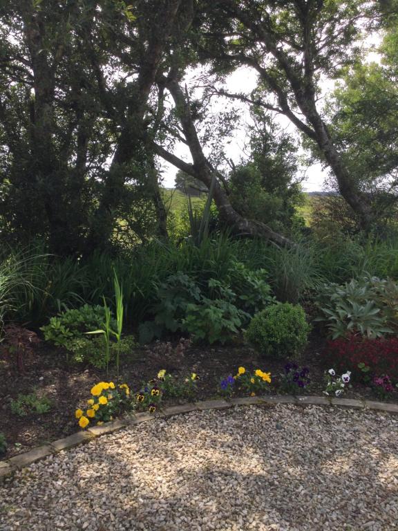 Zahrada ubytování Tullybeggs B&B