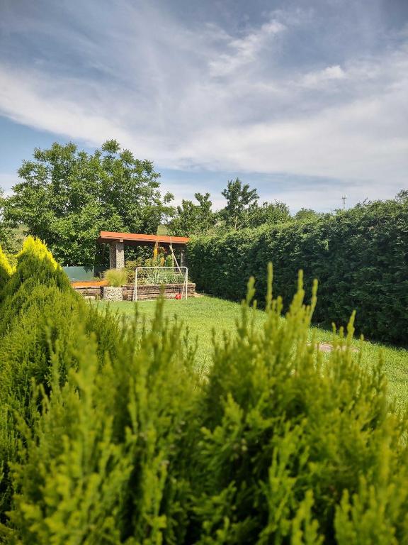 Zahrada ubytování Privat Arcadia