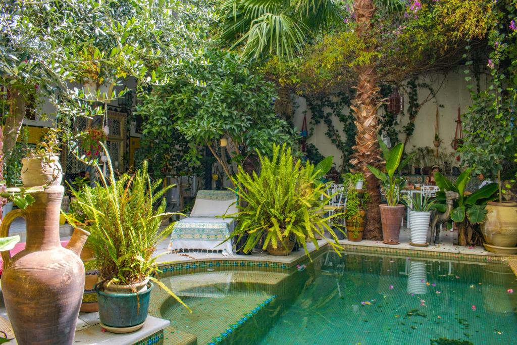 a garden with a swimming pool with potted plants at Dar Souad in La Marsa