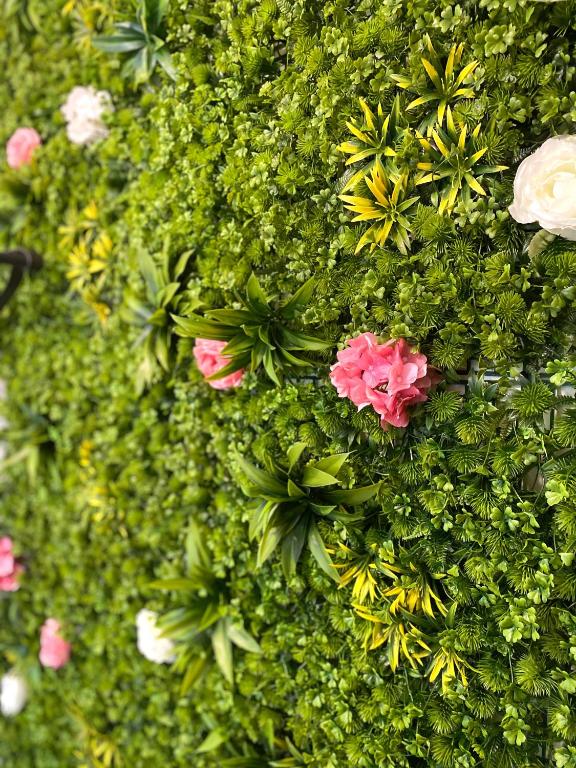 A garden outside Snow Sheep apART - апартамент с две спални