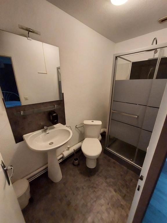 Koupelna v ubytování Hôtel le Comtois